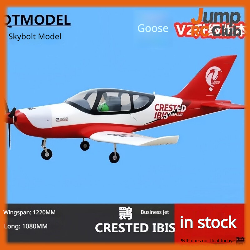 Avión de Control Remoto Modelo - Rc Hobby Experts reseña y precio