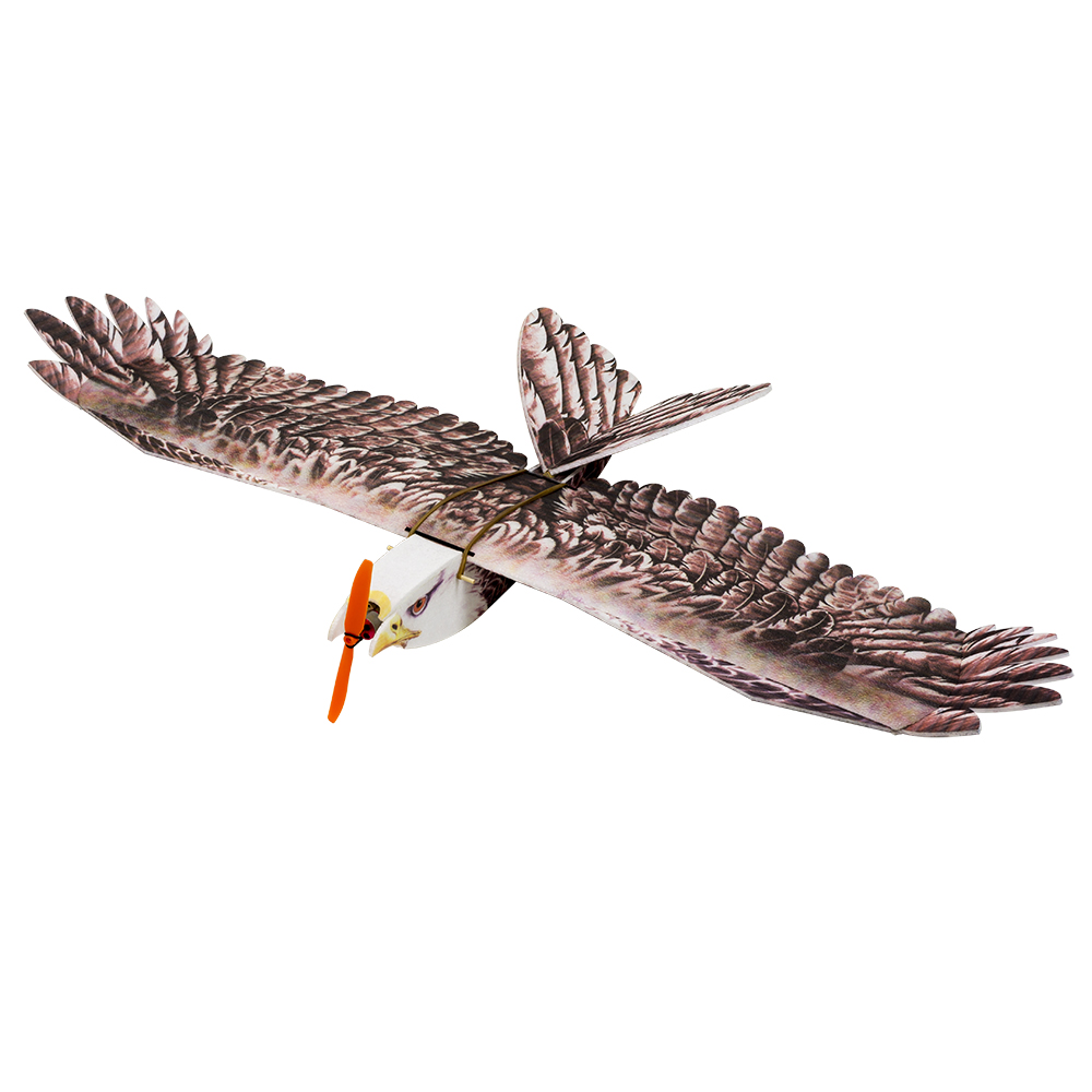 DW Hobby Eagle II EPP avión RC - Rc Hobby Experts reseña y precio