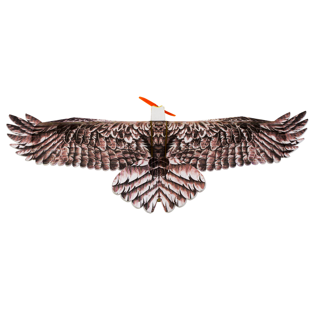 DW Hobby Eagle II EPP avión RC - Rc Hobby Experts reseña y precio